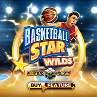 BASKETBALL STAR WILDS