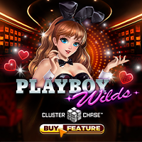 PLAYBOY WILDS