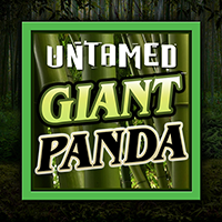 UNTAMED - GIANT PANDA