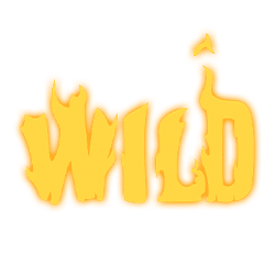 Wild Symbol of The Wish Master Slot