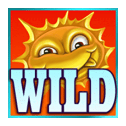 Wild Symbol of Flowers Slot