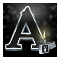 Icon 10 Playboy