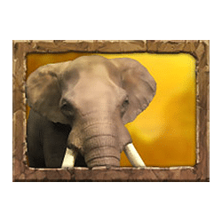 Icon 2 Jungle Spirit: Call of the Wild