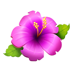 Icon 5 Honey Honey Honey