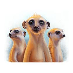 Icon 7 Serengeti Kings