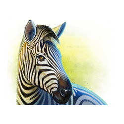 Icon 6 Serengeti Kings