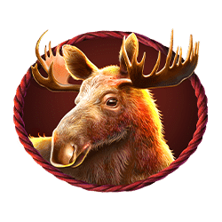 Icon 5 Buffalo King