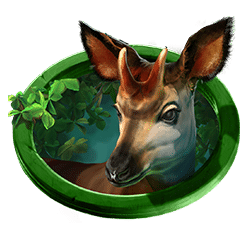 Icon 4 Gorilla Kingdom