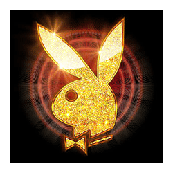 Icon 11 Playboy Fortunes