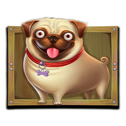 Icon 3 The Dog House Megaways