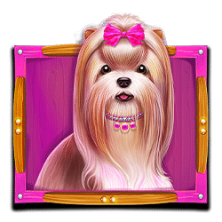 Icon 2 The Dog House Megaways