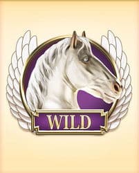 Wild Symbol of Divine Fortune Megaways Slot