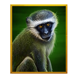 Icon 3 Silverback Multiplier Mountain