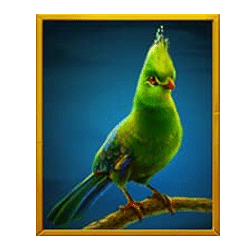 Icon 4 Silverback Multiplier Mountain