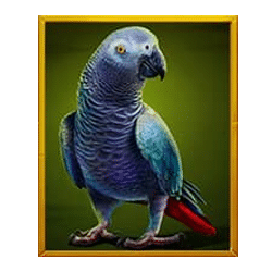 Icon 5 Silverback Multiplier Mountain