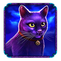 Icon 2 Madame Destiny Megaways