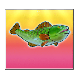 Icon 6 Bigger Bass Bonanza