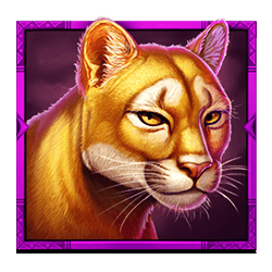 Icon 5 Mystic Chief
