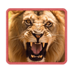 Icon 1 Safari Wilds